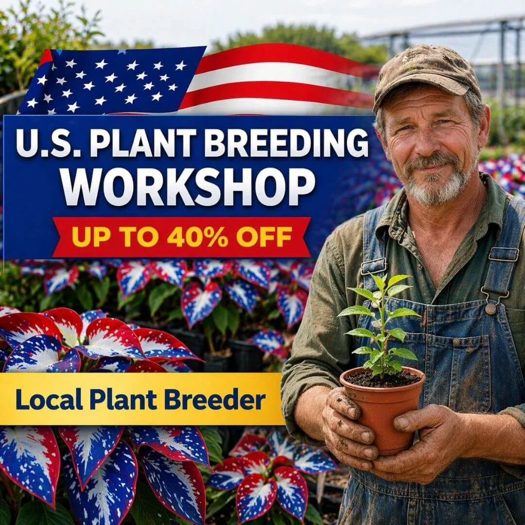 šLast Day Sale Off 49%šCelebrate America's 250th š±Premium Shade-Loving Hosta Seeds