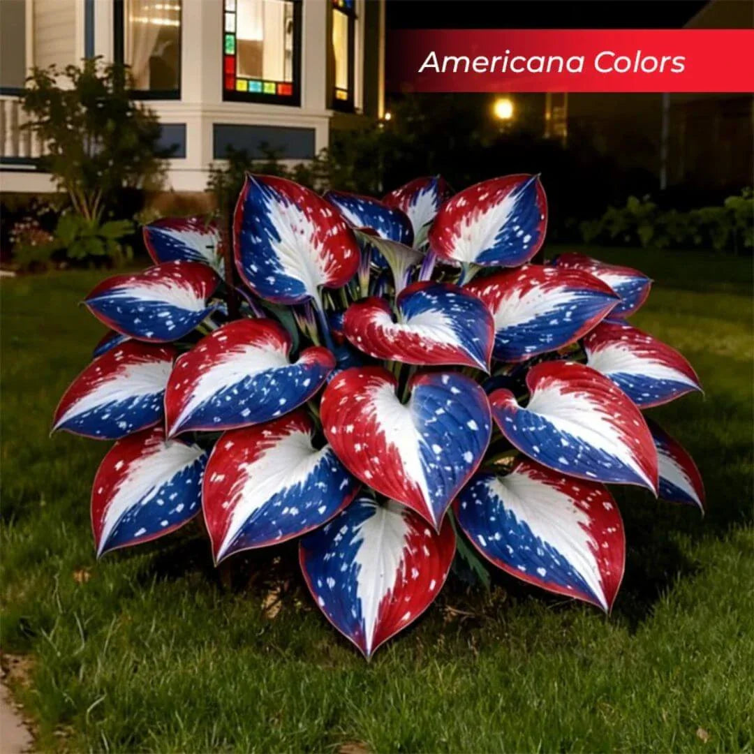 šLast Day Sale Off 49%šCelebrate America's 250th š±Premium Shade-Loving Hosta Seeds