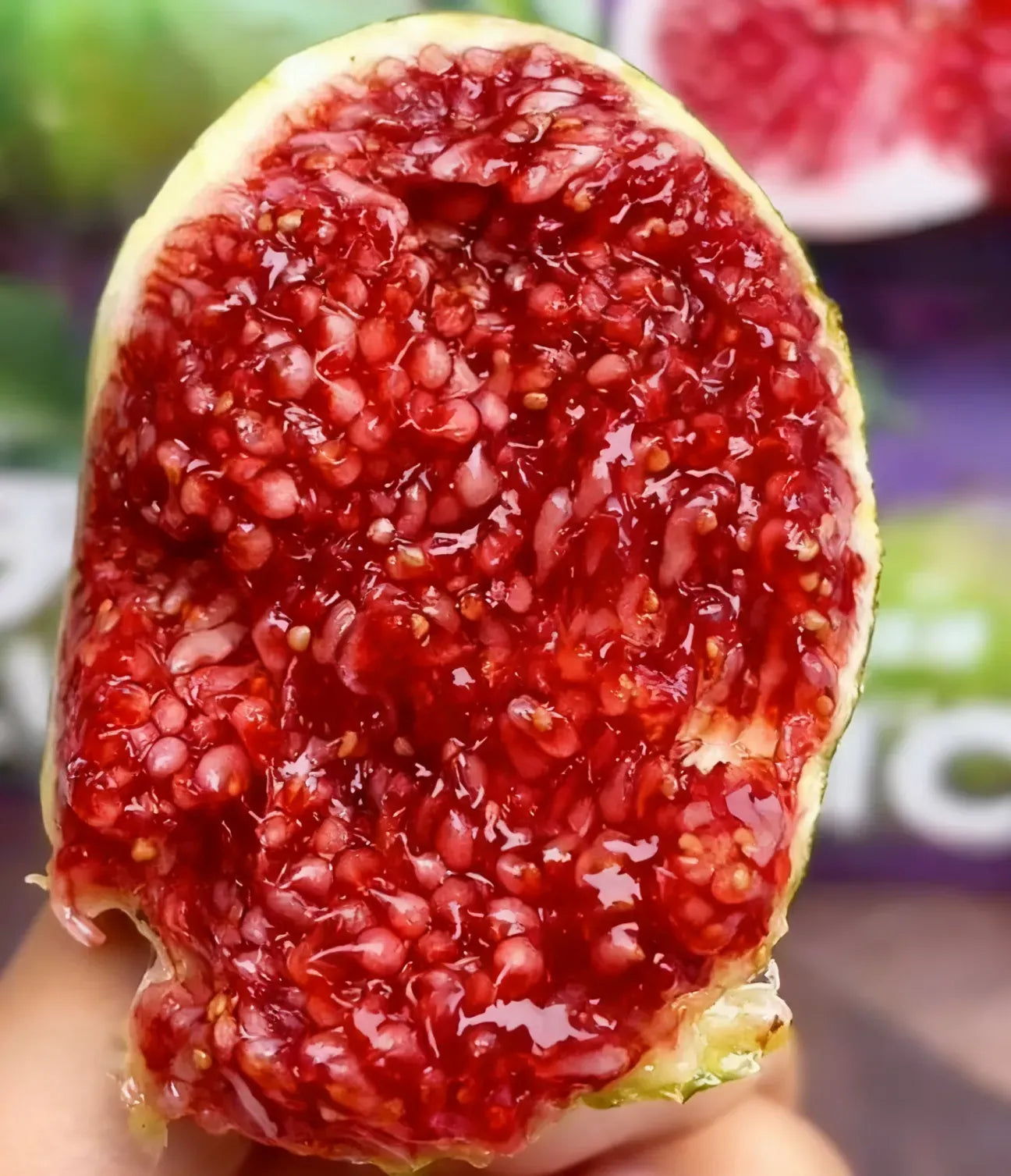 šSuper Giant Fig Tree Plants - The Sweetness of a Peach in Every Bite! š