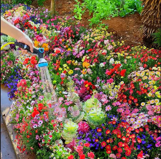 š„Last day clearancešMixed Perennial Flowers Seeds-Over 60 kinds mixed