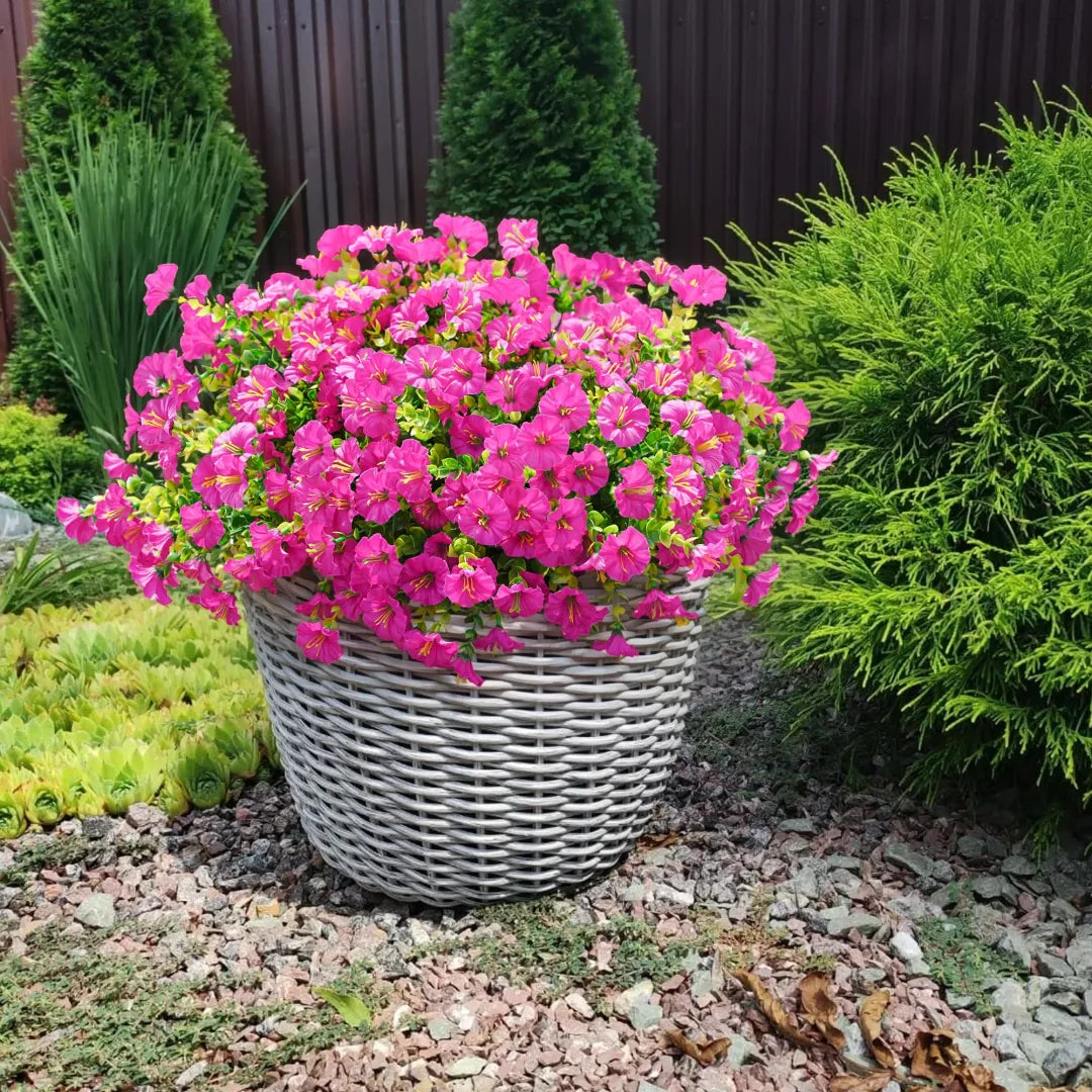 š„Last Day 60% OFFš„ Petunias Flowers seeds