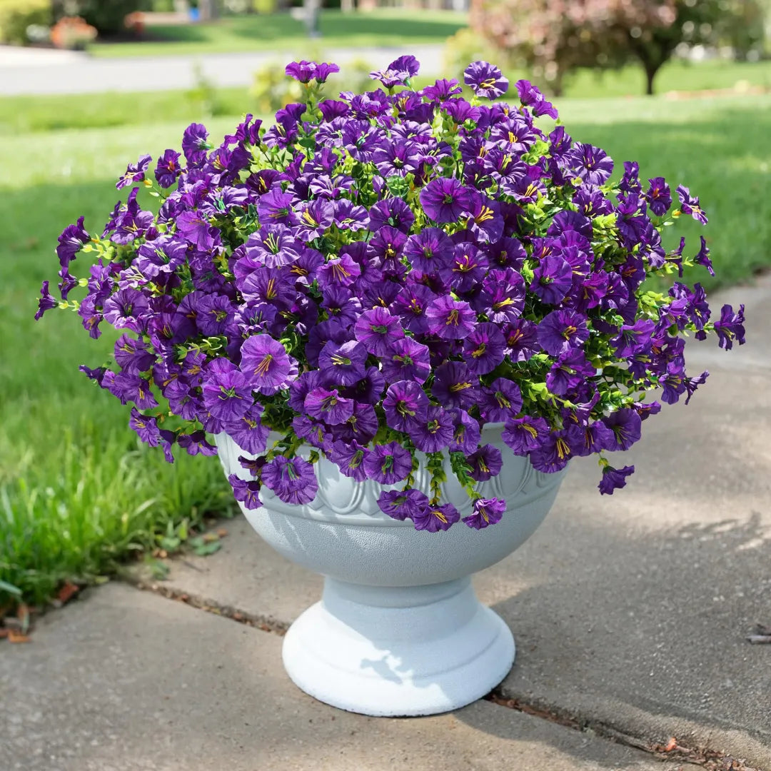 š„Last Day 60% OFFš„ Petunias Flowers seeds