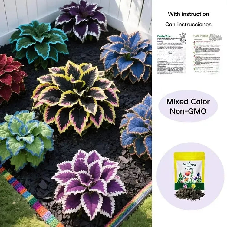 š¼ Mixed Hostas seeds : A Splash of Color for Every Season