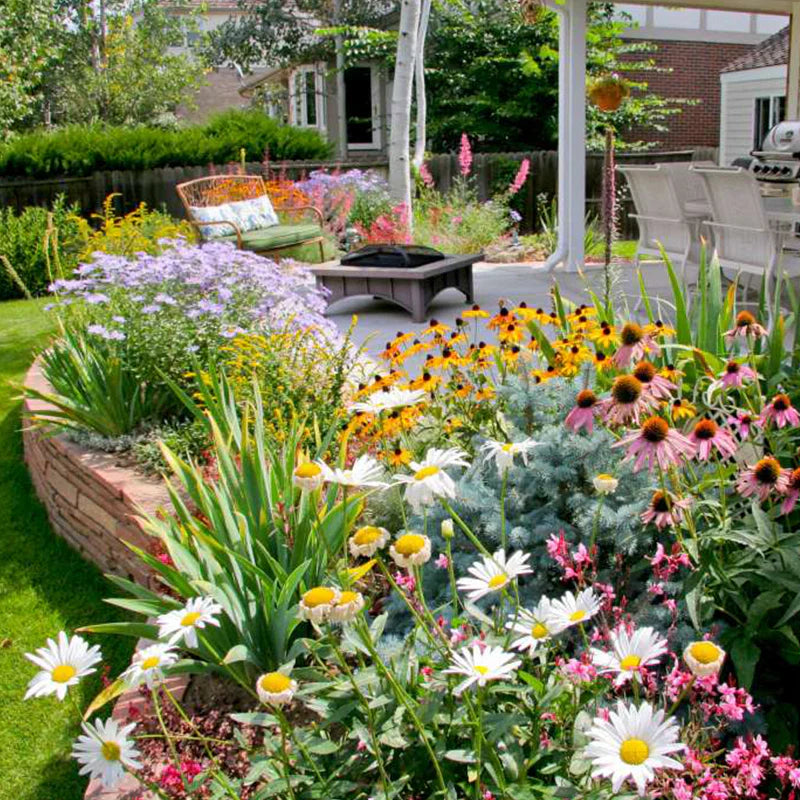 š„Last day clearancešMixed Perennial Flowers Seeds-Over 60 kinds mixed
