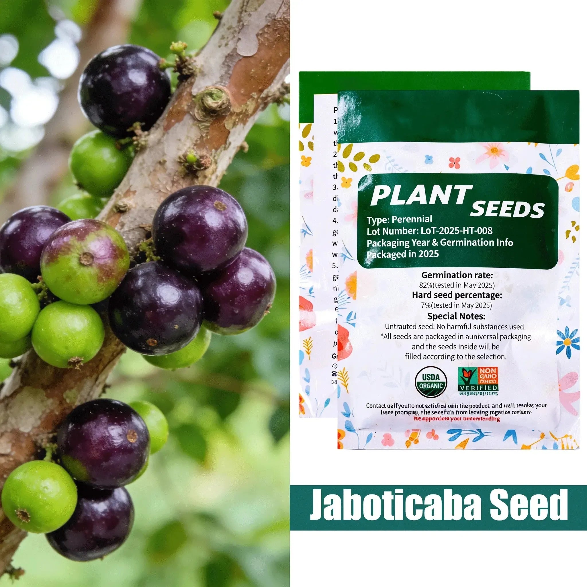 Jaboticaba Exotic Fruit Plant forHome Garden