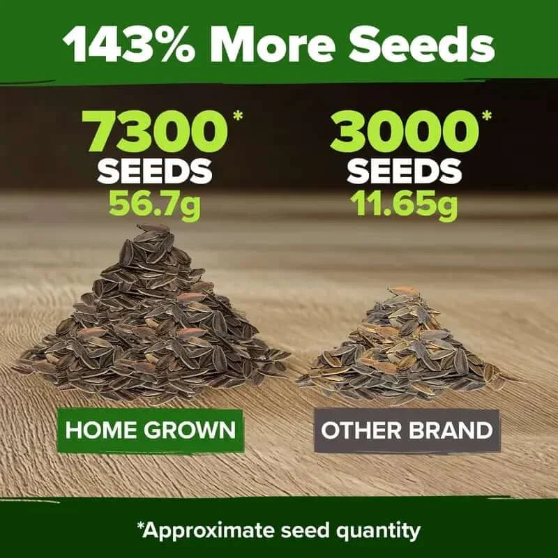 🔥HOT SALE 49% OFF-Zinnia Seeds - Pure Seeds - No Filler - USA Heirloom Flower Seeds（副本）