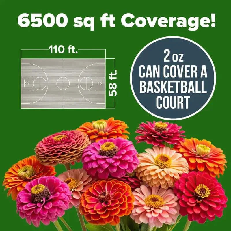 🔥HOT SALE 49% OFF-Zinnia Seeds - Pure Seeds - No Filler - USA Heirloom Flower Seeds（副本）