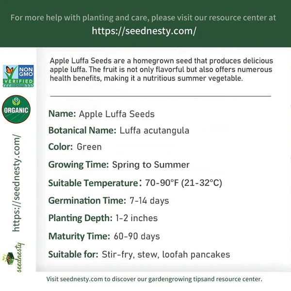Apple Luffa Seeds