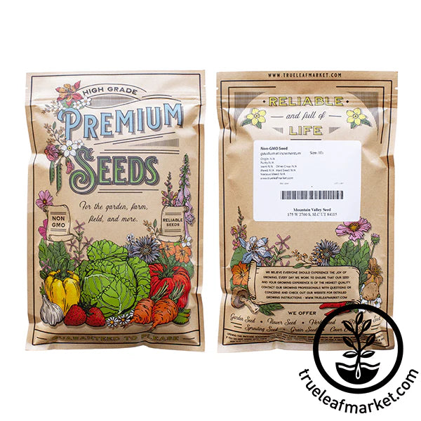 Lettuce Seeds - Summer 38 Celtuce